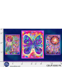 Load image into Gallery viewer, Color Burst 24" Panel
