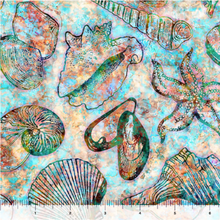 Load image into Gallery viewer, Oceana Seashells 27088-X
