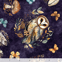 Load image into Gallery viewer, Night Owls - Owls 31566-V
