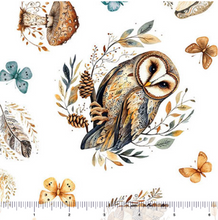 Load image into Gallery viewer, Night Owls - Owls 31566-Z
