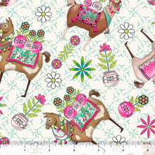 Load image into Gallery viewer, Fiesta Boho Llama Toss 30788-E
