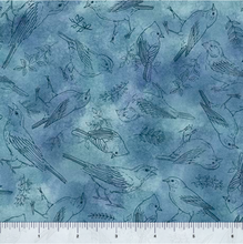 Load image into Gallery viewer, Drawn to Birds Bird Toile 31137-B
