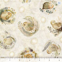 Load image into Gallery viewer, Cotton Tails Chick Toss 30082-E
