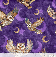 Load image into Gallery viewer, Night Owls Flying Owls 31567-V
