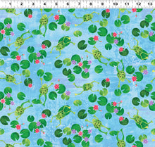 Load image into Gallery viewer, Summer Splash - Frog Pond Y4102-33
