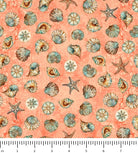 Atlantis Shell Toss 30694-C with ruler for scale