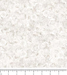Atlantis Shell Tonal 30697-Z with ruler for scale