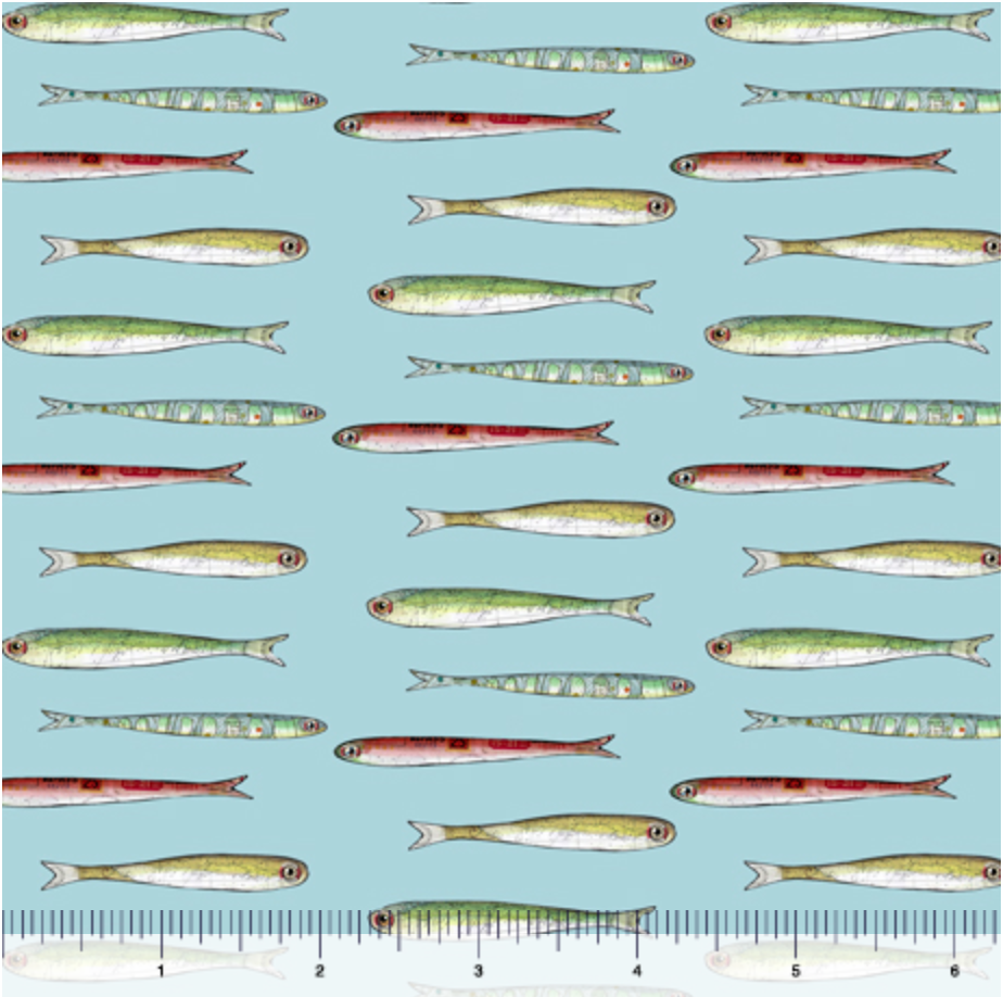 Set Sail - Fish 28494-Q